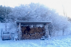 A bit of Grey County Spring weather