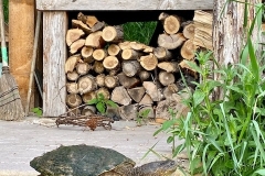 The Tortoise and the Hare Ktichen