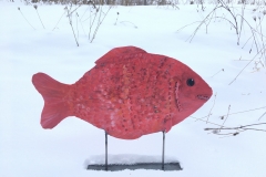 Red Snapper - Formed Sheet Metal Sculpture $220